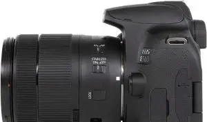 stock