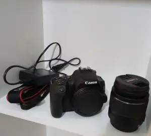 stock