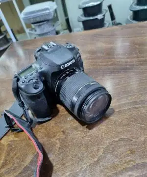 stock