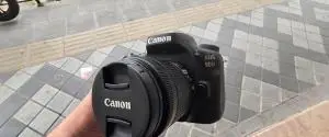 stock