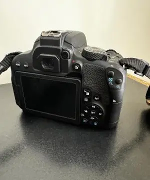 stock