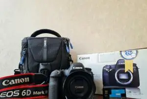 stock