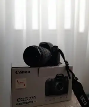 stock