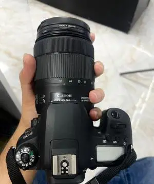 stock