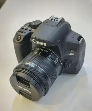 stock