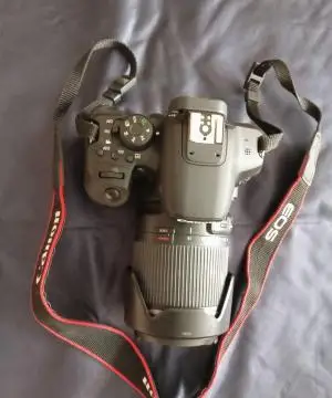 stock