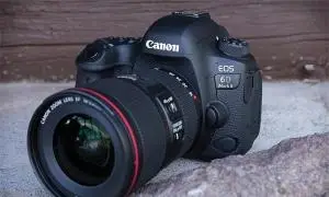stock