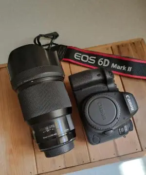 stock