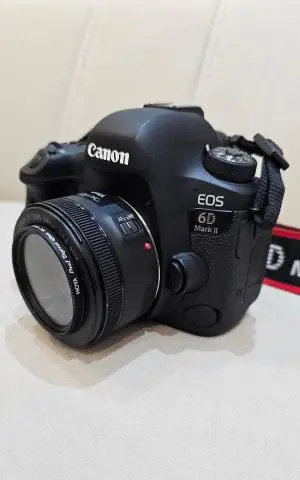 stock
