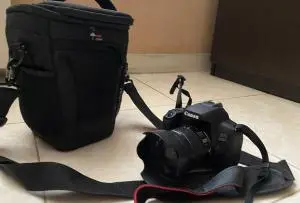 stock