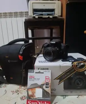 stock