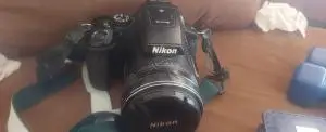 stock