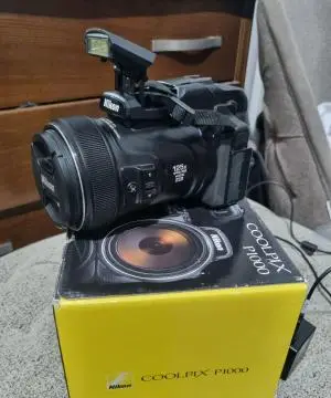 stock