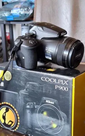 stock