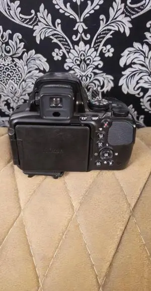 stock