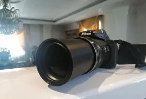 stock