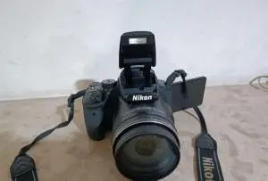 stock