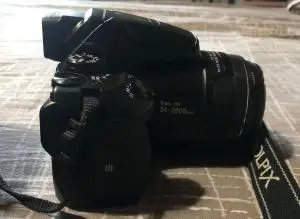 stock