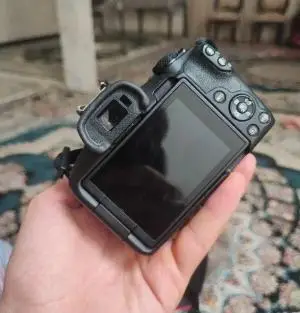 stock