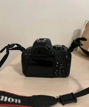 stock