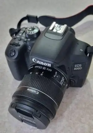 stock