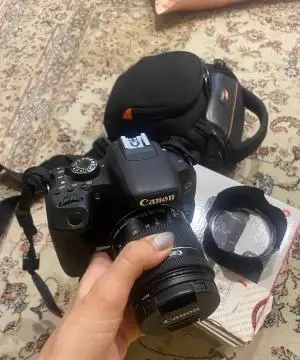 stock