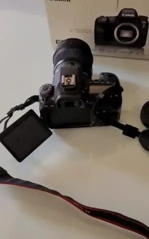 stock