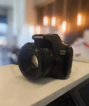 stock
