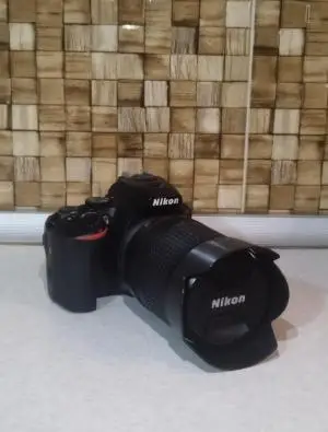 stock