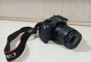 stock