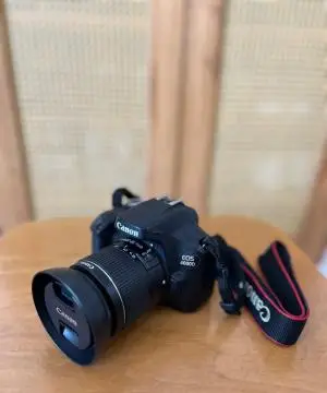 stock