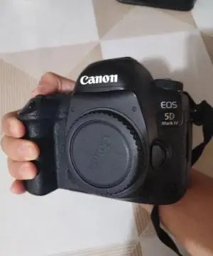 stock