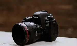 stock