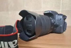 stock
