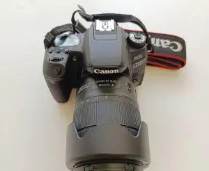stock