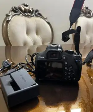 stock