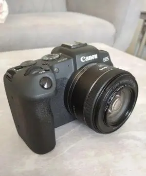 stock