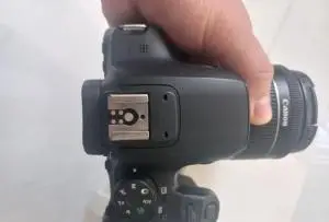 stock