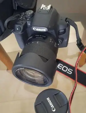 stock