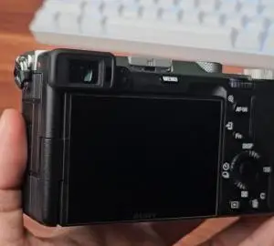 stock