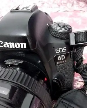stock