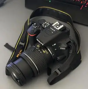 stock