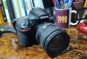 stock