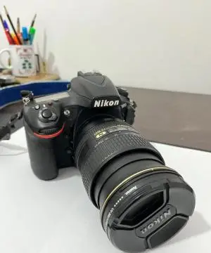 stock