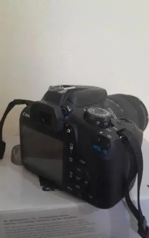 stock