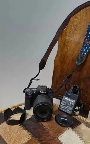 stock