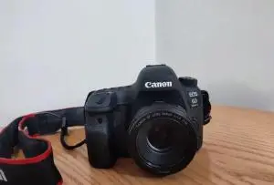 stock