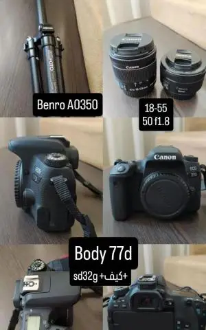 stock