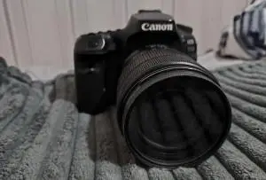 stock