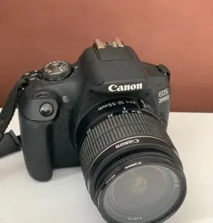 stock